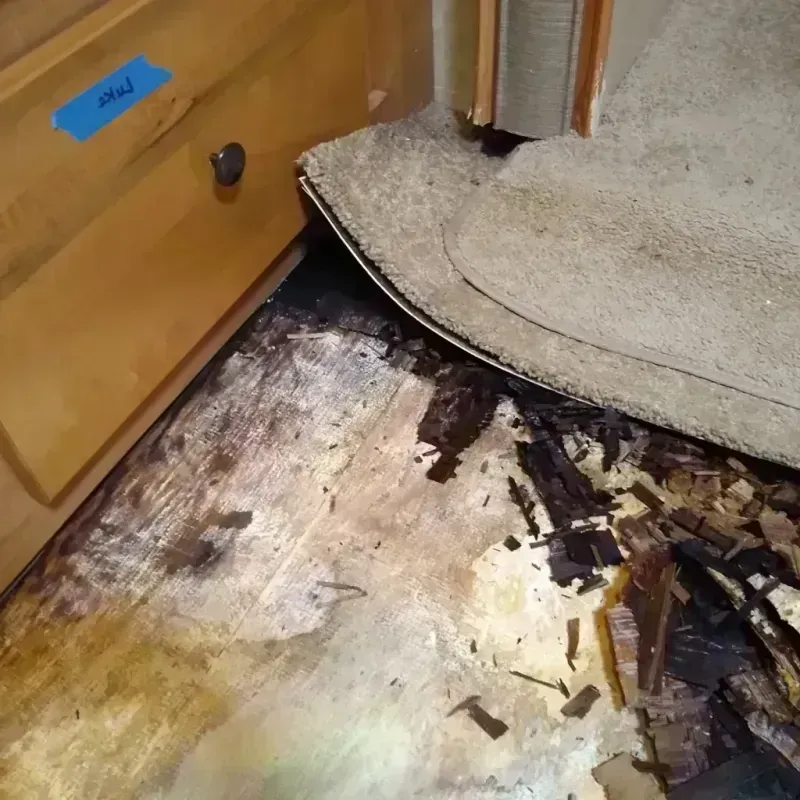 Best Wood Floor Water Damage Service in Happy Camp, CA